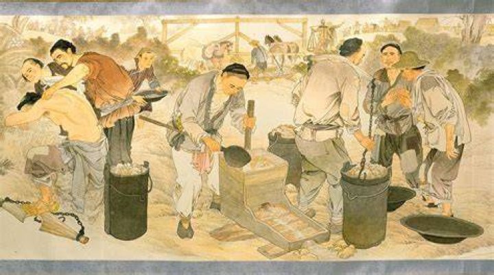 What did the Chinese do After the gold rush?