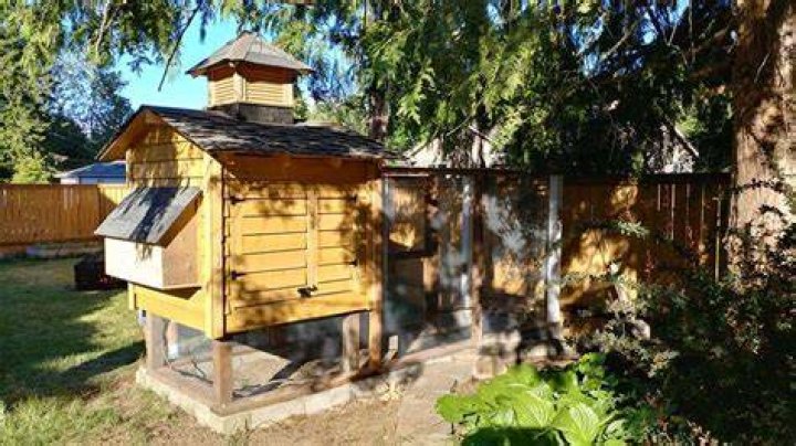 What direction should my chicken coop face?