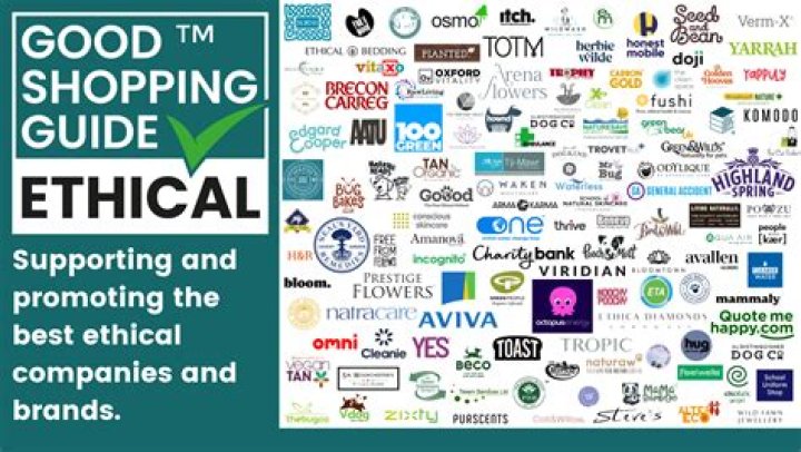 What disadvantages do ethical companies have?