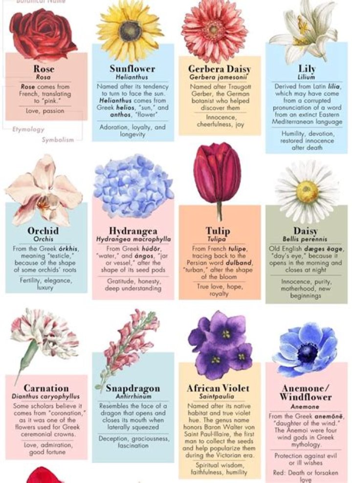 What do 3 flowers mean?