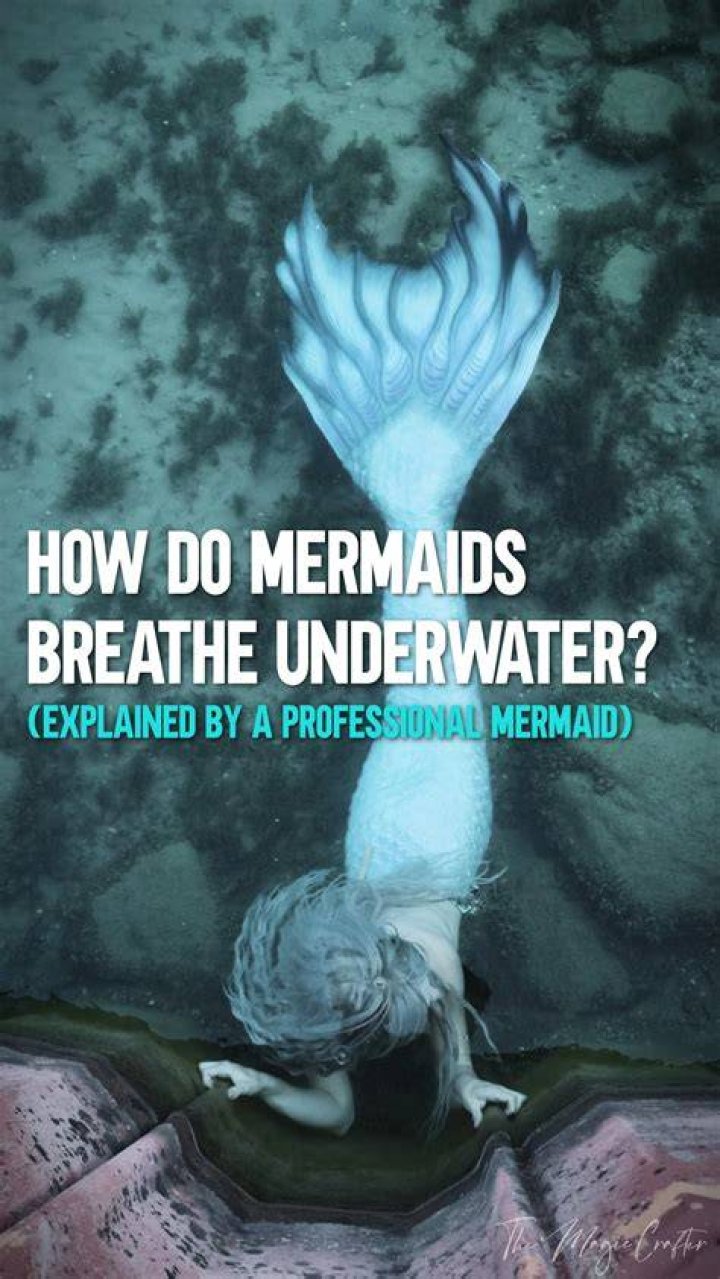 What do mermaids fear?