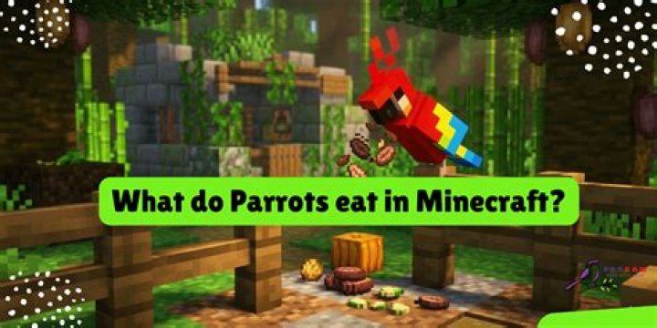 What do parrots eat in Minecraft?