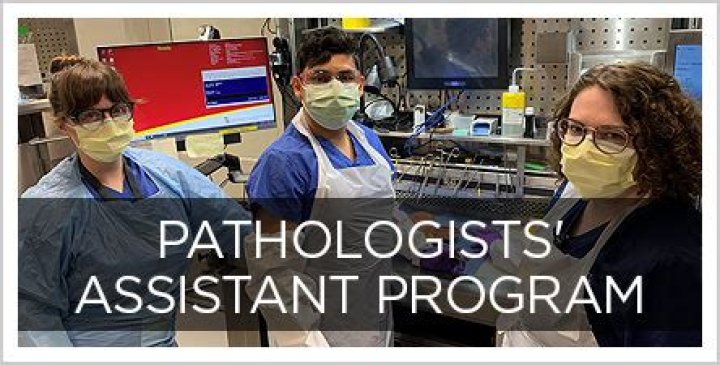What do pathology assistants make?