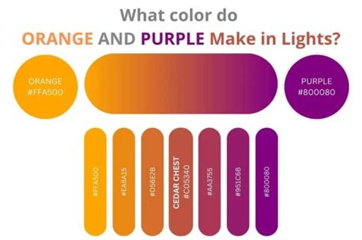 What do purple and orange make?