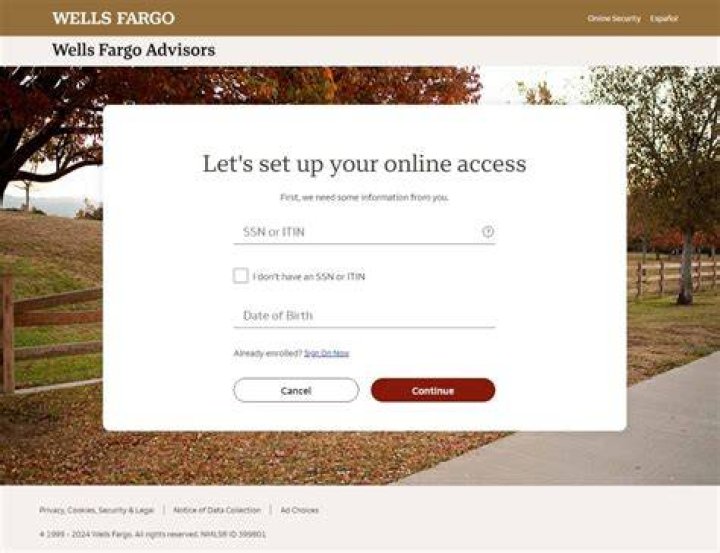 What do Wells Fargo Advisors do?