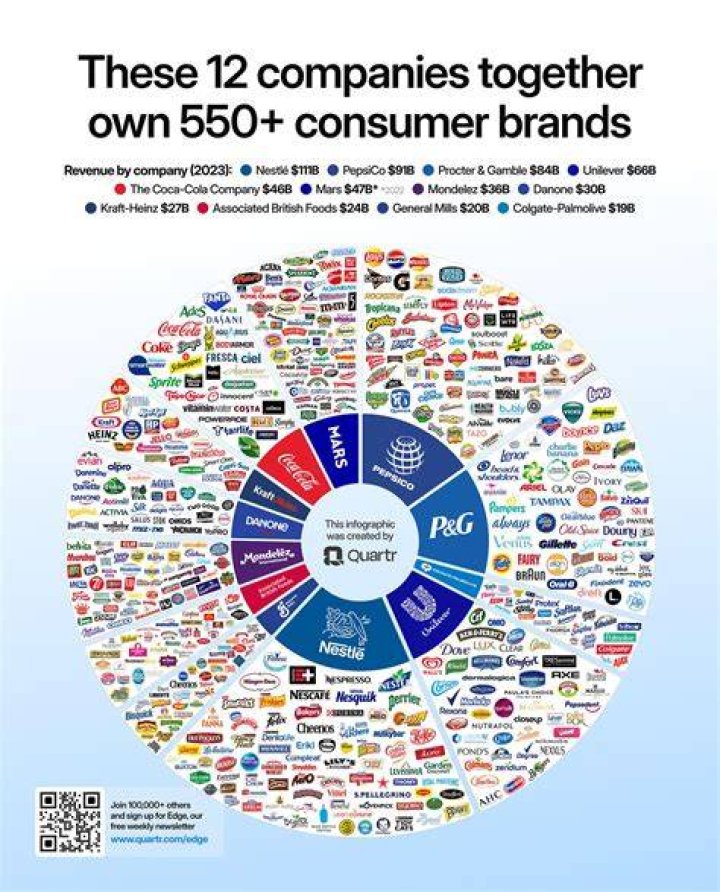What do you call a company that owns multiple businesses?