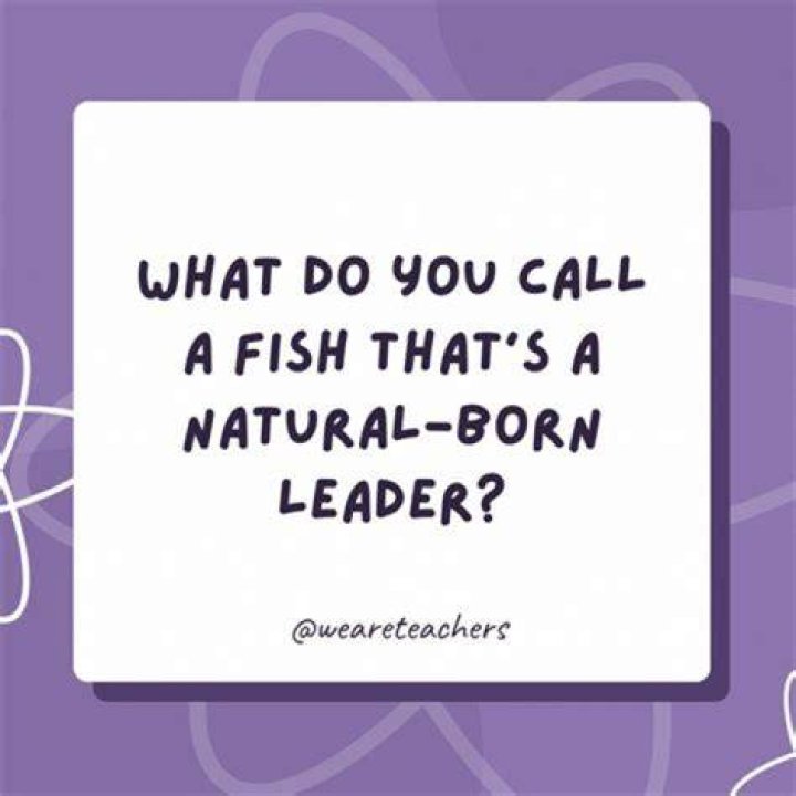 What do you call a person that solves problems?