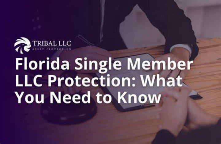 What do you call a single member LLC in Florida?