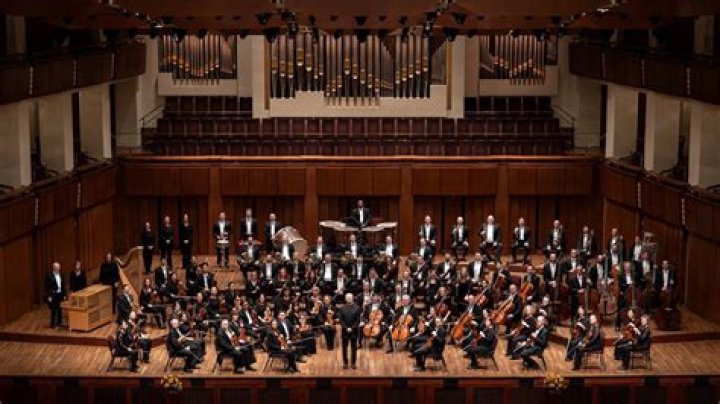 What do you call the members of the orchestra?