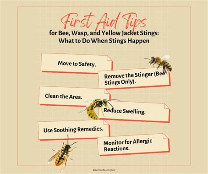 What do you do if a yellow jacket lands on you?