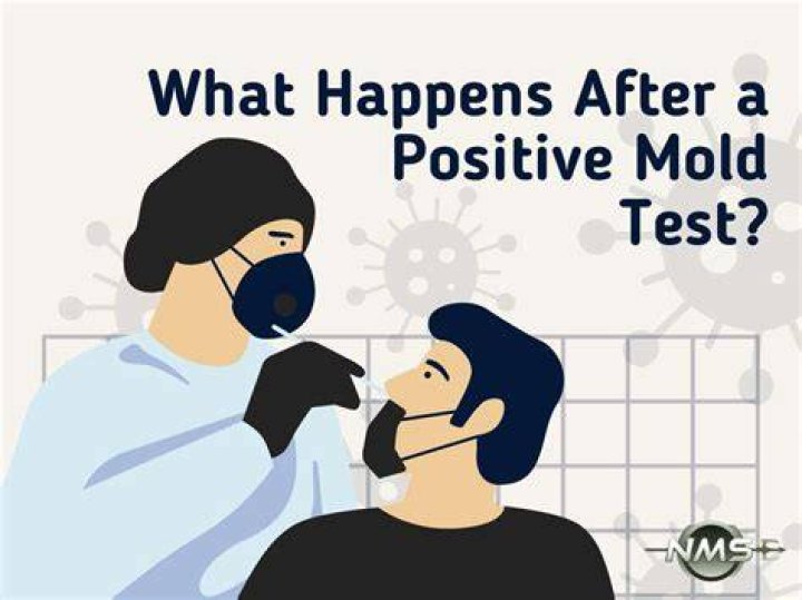 What do you do if you test positive for mold?
