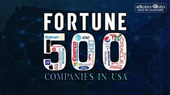 What do you mean by Fortune companies?