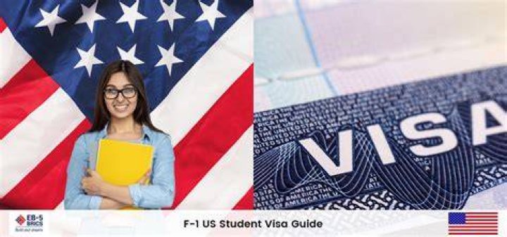 What do you need to know about the F-1 visa?