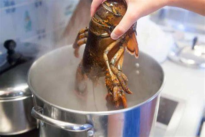 What do you put in boiling water for lobster?