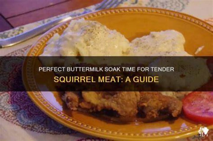 What do you soak squirrel meat in?