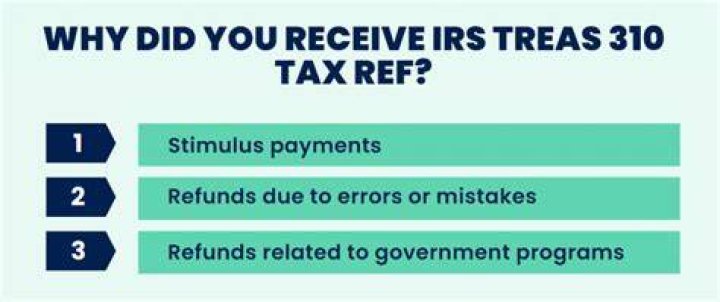 What does 310 mean on a tax return?