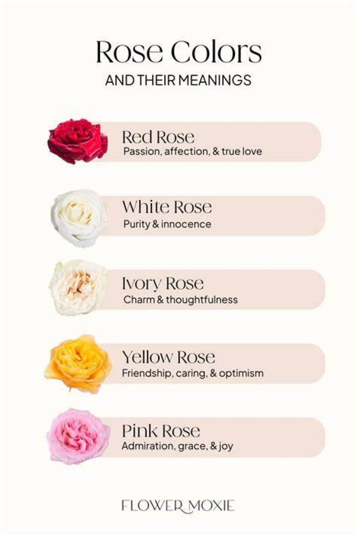 What does 5 pink roses mean?