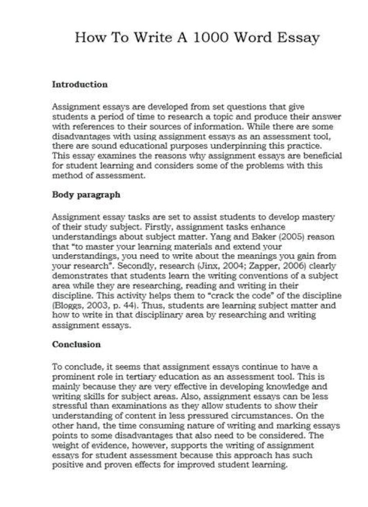 What does a 1000 word essay mean?
