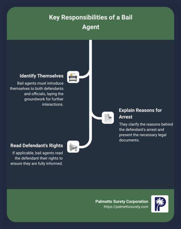 What does a bail agent do?