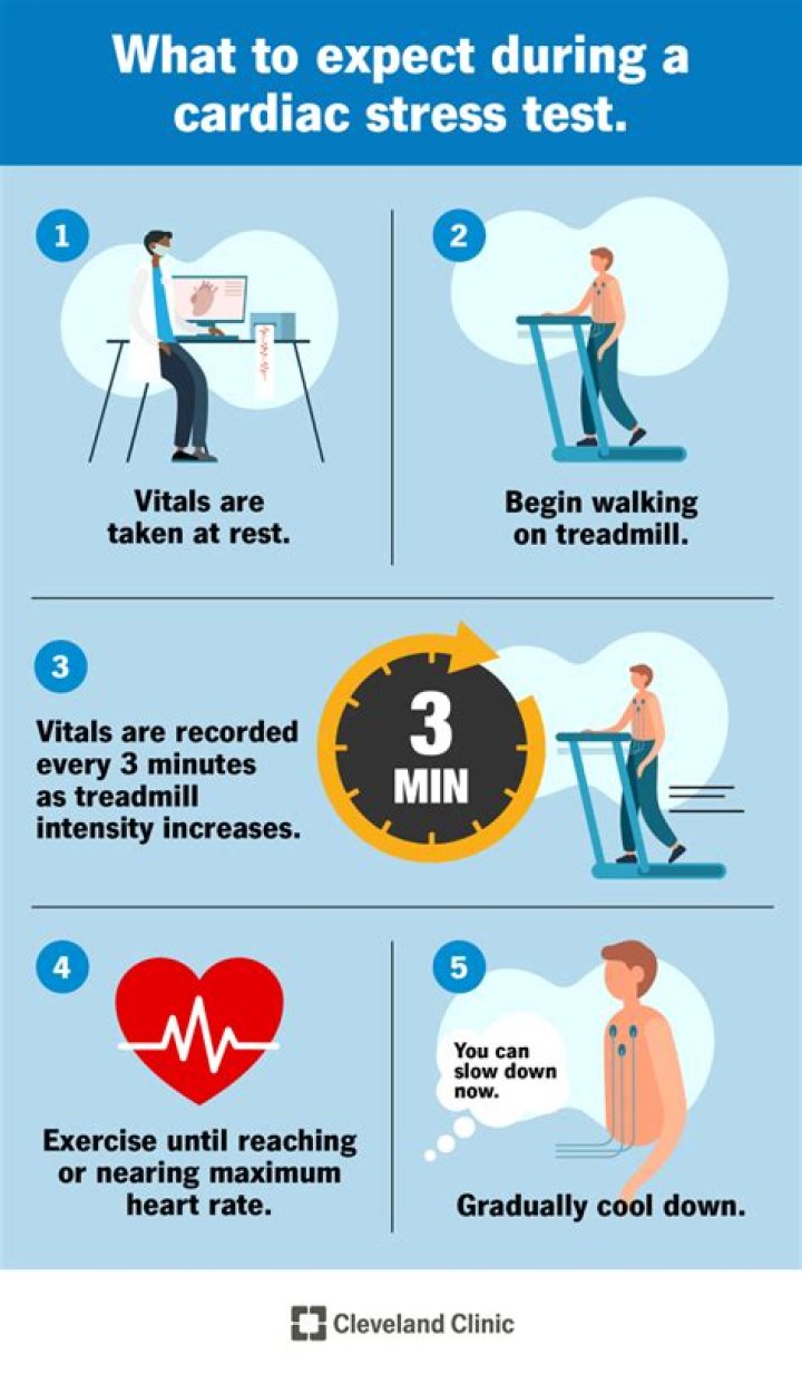 What does a cardiovascular stress test consist of?