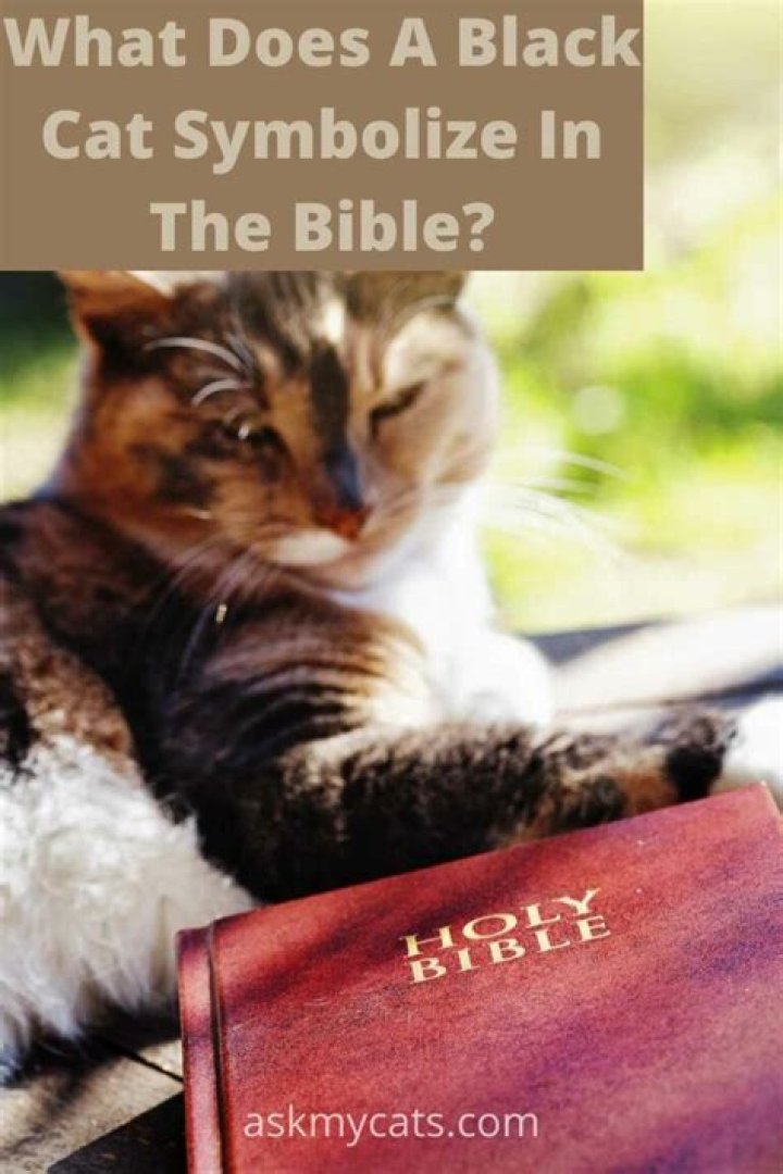 What does a cat symbolize in the Bible?