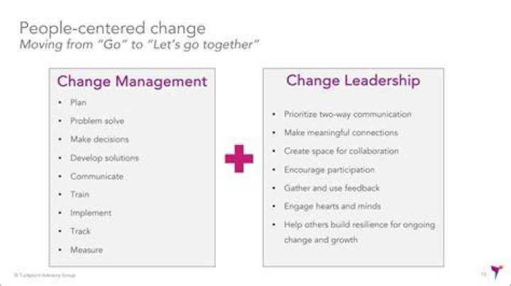 What does a director of change management do?