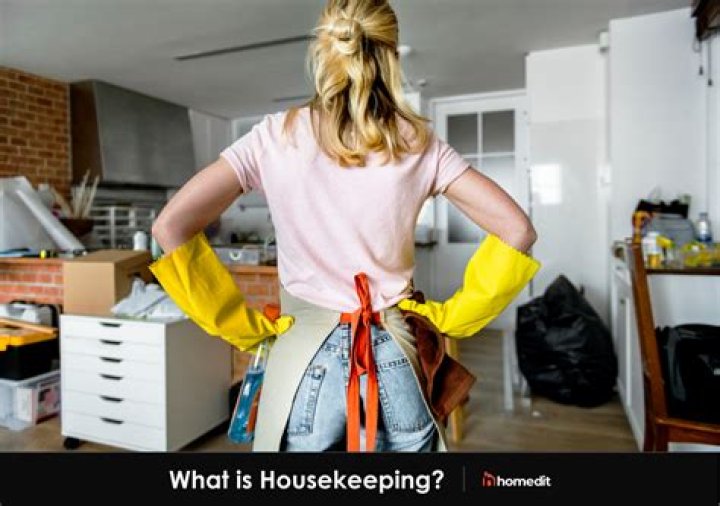 What does a domestic housekeeper do?
