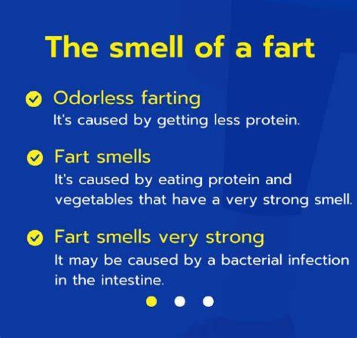 What does a fart smell like?