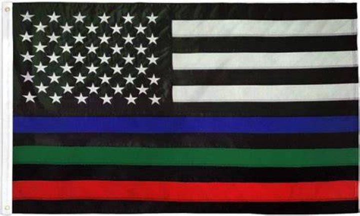 What does a green and white American flag mean?