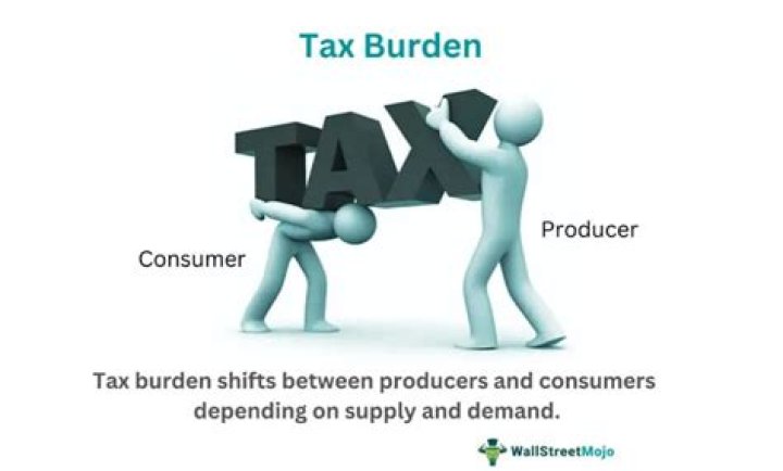 What does a high tax burden mean?