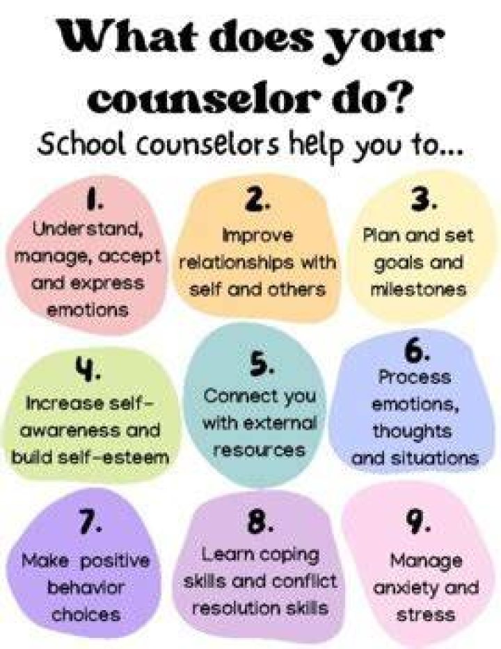 What does a lay counselor do?