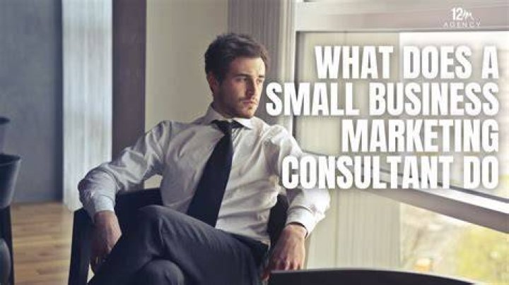 What does a small business sales consultant do?