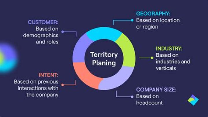 What does a territory sales executive do?