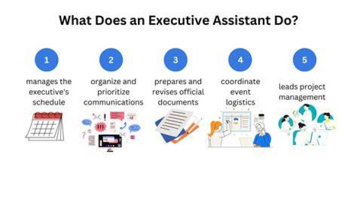 What does a trainee executive do?