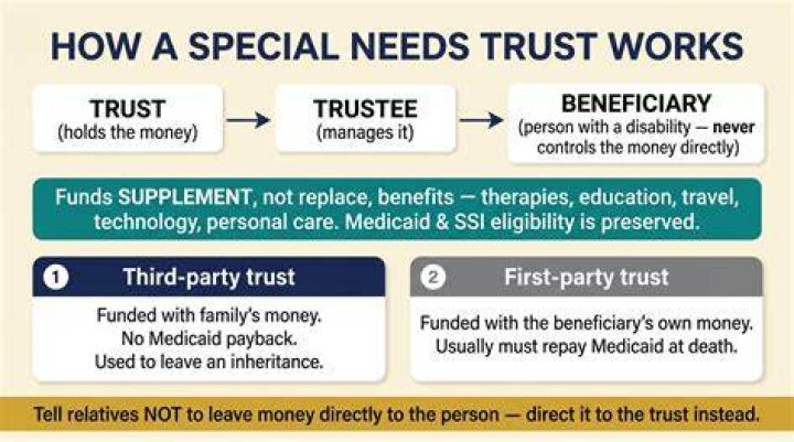 What does a trustee of a special needs trust do?