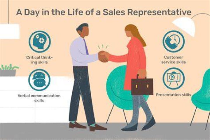 What does a Vector sales rep do?