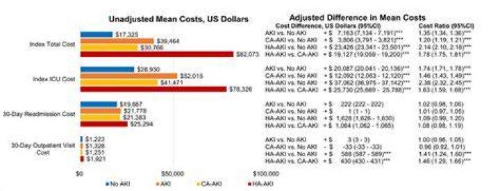 What does adjusted cost mean?