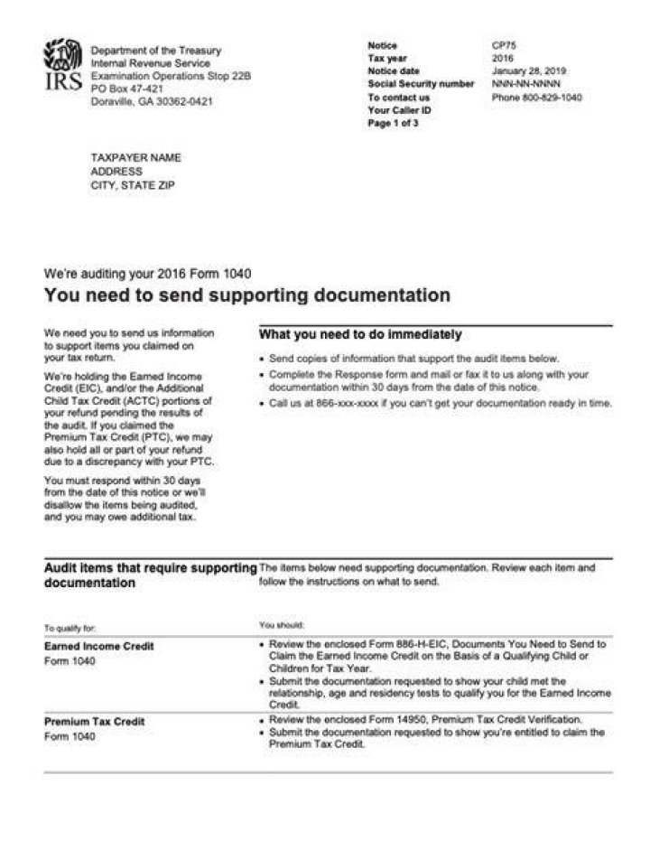 What does an IRS audit letter look like?