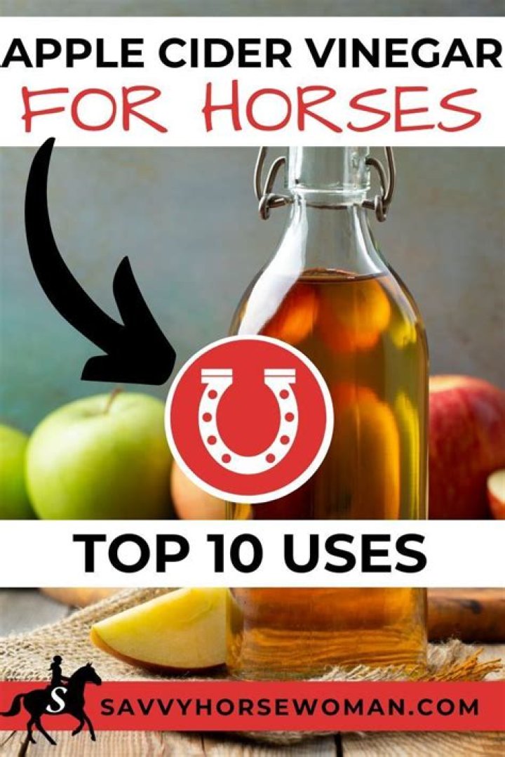 What does apple cider vinegar do to horses?