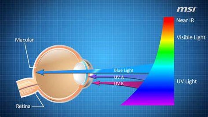 What does blue light detect?