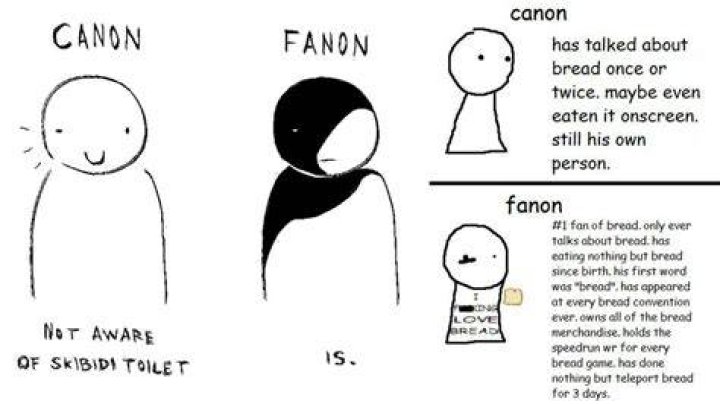 What does canon mean in fanfiction?