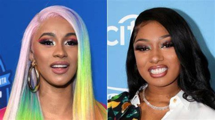What does Cardi B's WAP stand for?