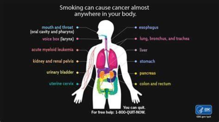 What does CDC say about smoking?