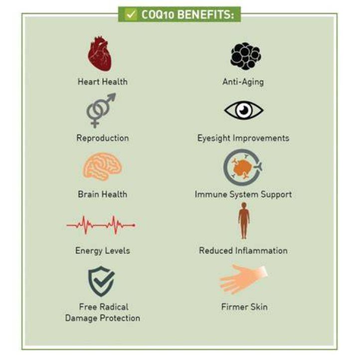 What does CoQ10 do to your brain?