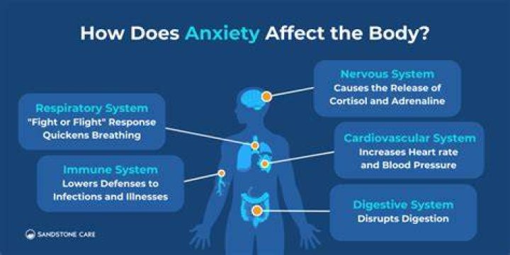 What does daily anxiety feel like?