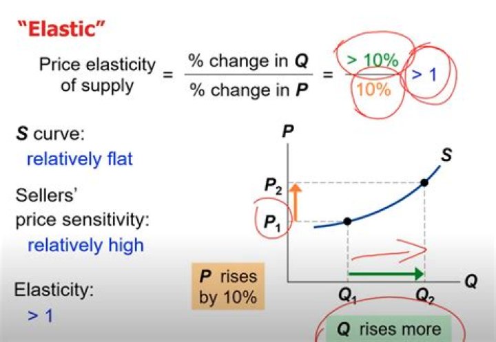 What does elasticity mean in economics?