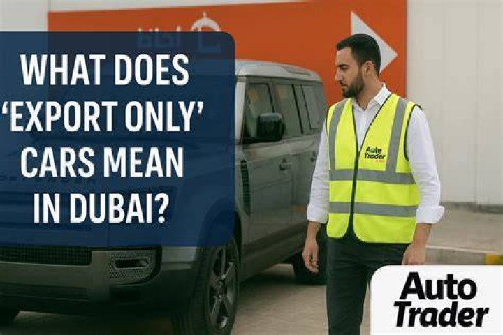 What does export sales only mean?