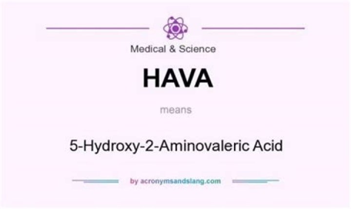 What does HAVA stand for?