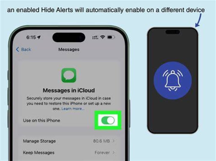 What does hide alerts mean?