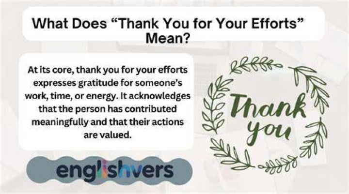 What does I appreciate your efforts mean?
